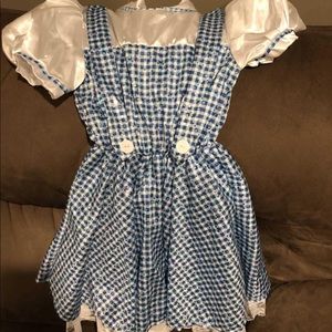 Dorothy Wizard of Oz costume
